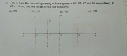 7 I M N T Are The Lines Of Symmetry Of Line Segments Xq Scholr