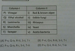 Column L Column 1l P Vinegar Q Ethyl Alcoholii Edible Fun Scholr