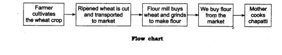 With the help of a flow chart show various contributors invo ? | Scholr™