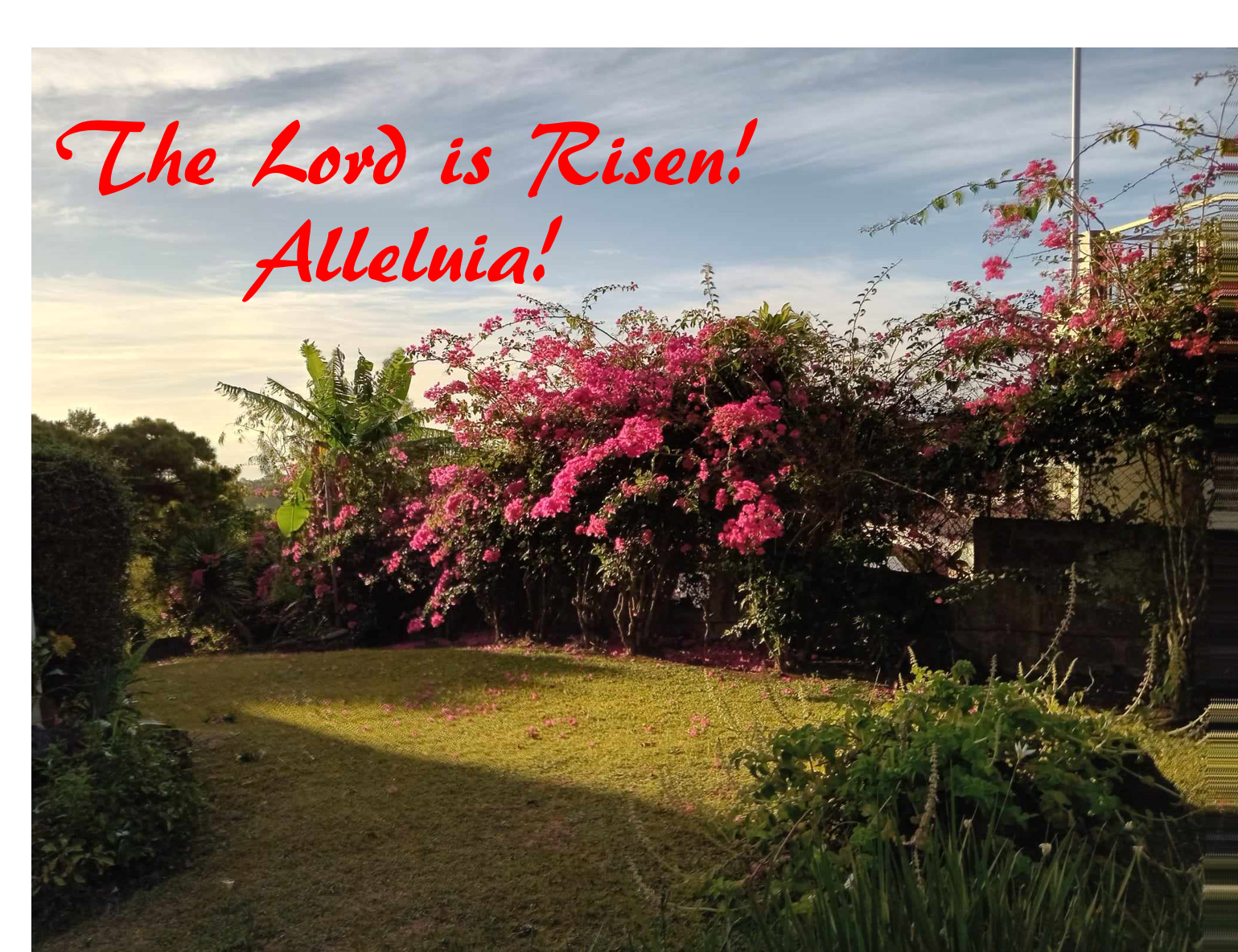 The Lord is Risen!