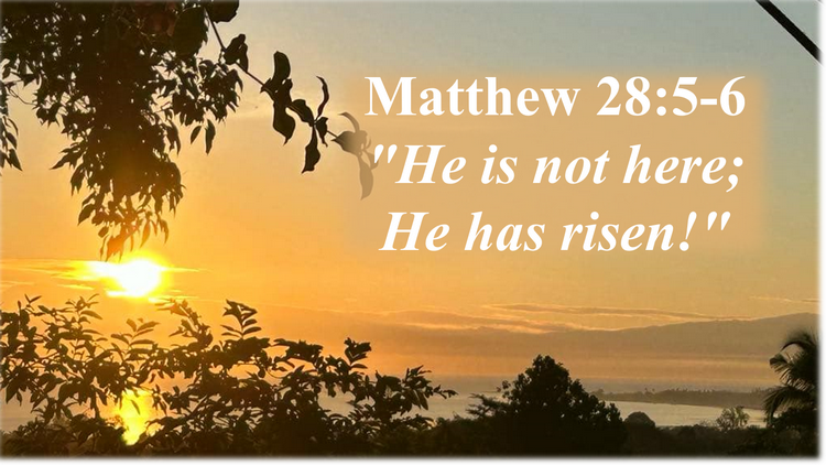 Day 59: Easter Sunday Rising to New Life
