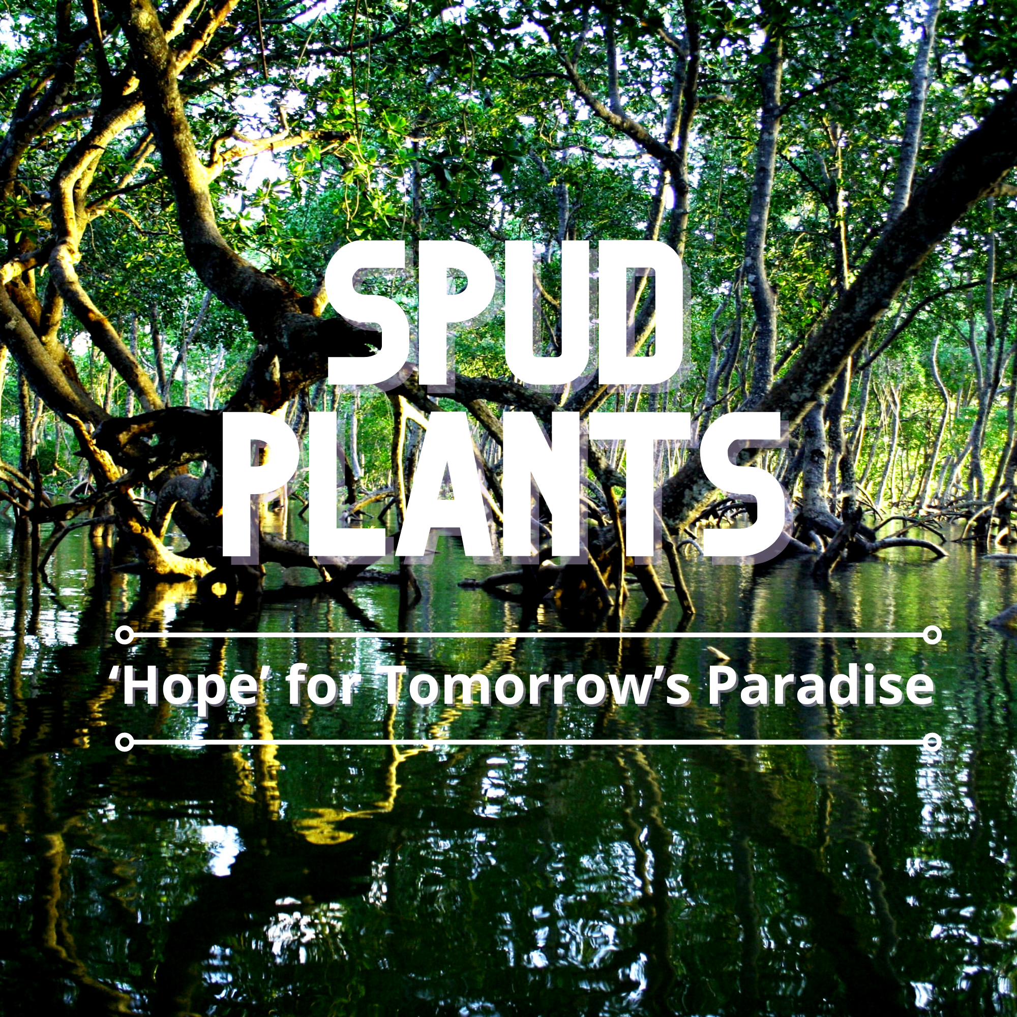 SPUD Plants ‘Hope’ for Tomorrow’s Paradise By Francis Daniel Gabriel G. Cual – IV, BS Psychology