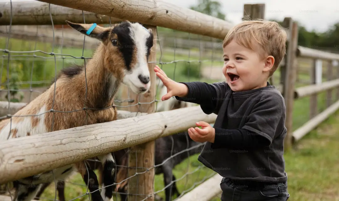 Find a Safe Nursery Near Me | A Mother's Guide to Avoiding Costly Mistakes