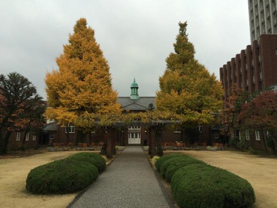 Rikkyo University Ikebukuro Campus in Autumn.
