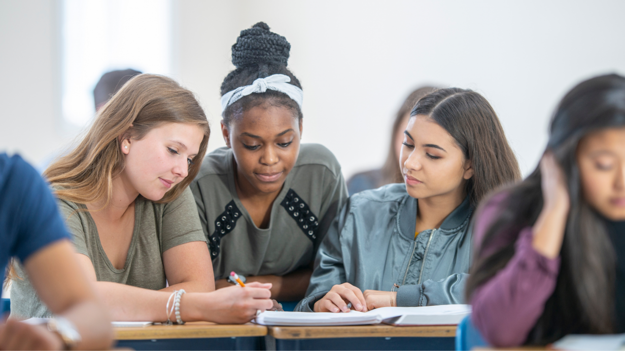 Student executive function