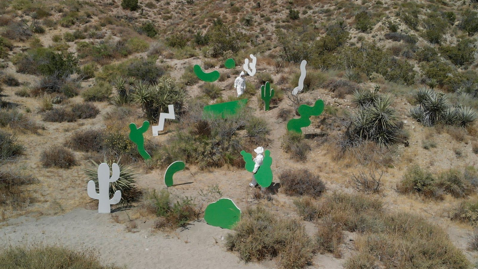 green white cactus silhouettes desert setting