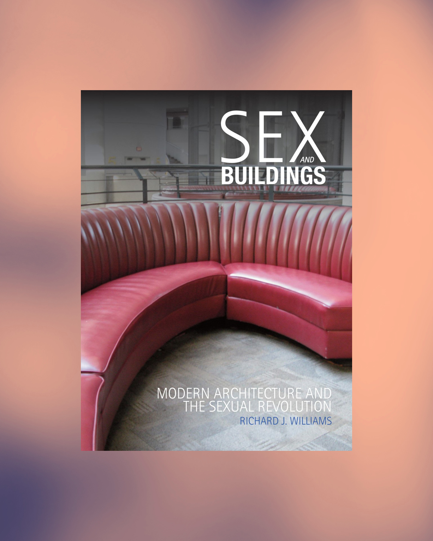 book cover sex and buildings