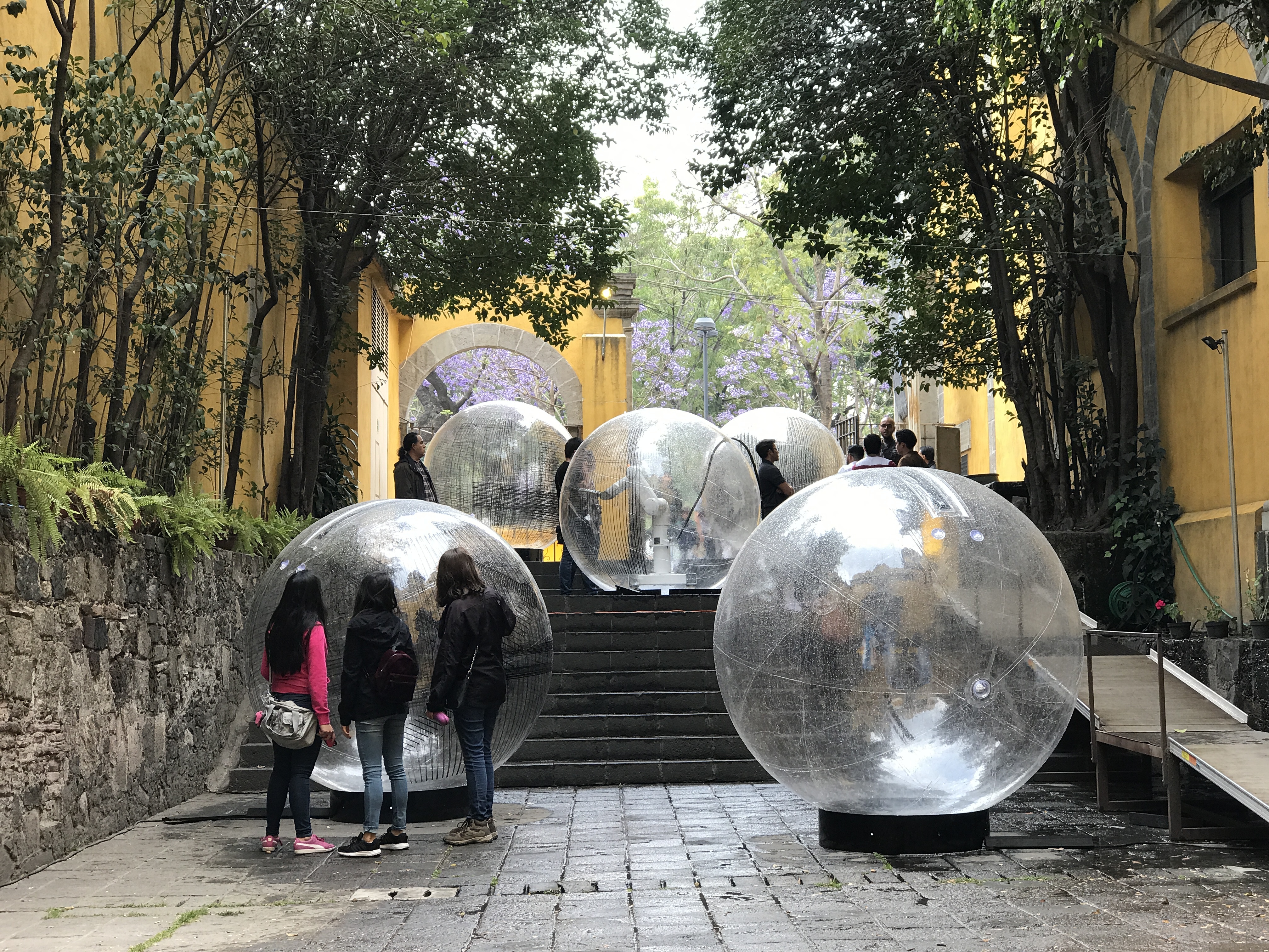 Art and Architecture enthusiast admiring the installation