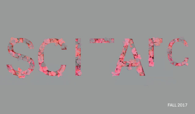 grey background floral font sciarc in foreground