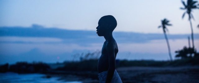 little boy on beach sunset sunrise