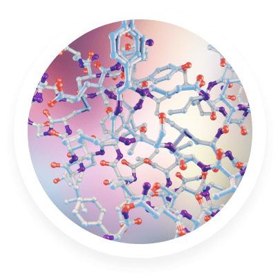 Insulin a.k.a fat-storing hormone