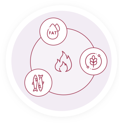 Carbs, Fats AND Proteins-Burning Sphere Graph