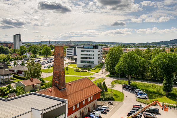 Vy över Parken från Pergolan