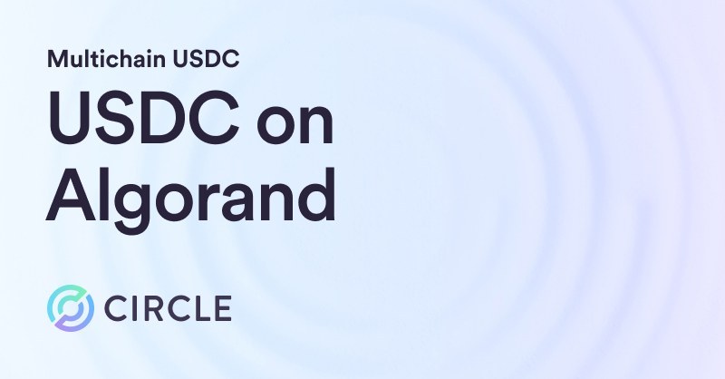 Algorand上のUSDC、2020年後半のローンチから急速に成長