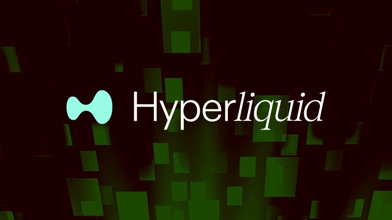 ハイパーリキッド、HYPE・BTC担保の手動借入サービス開始