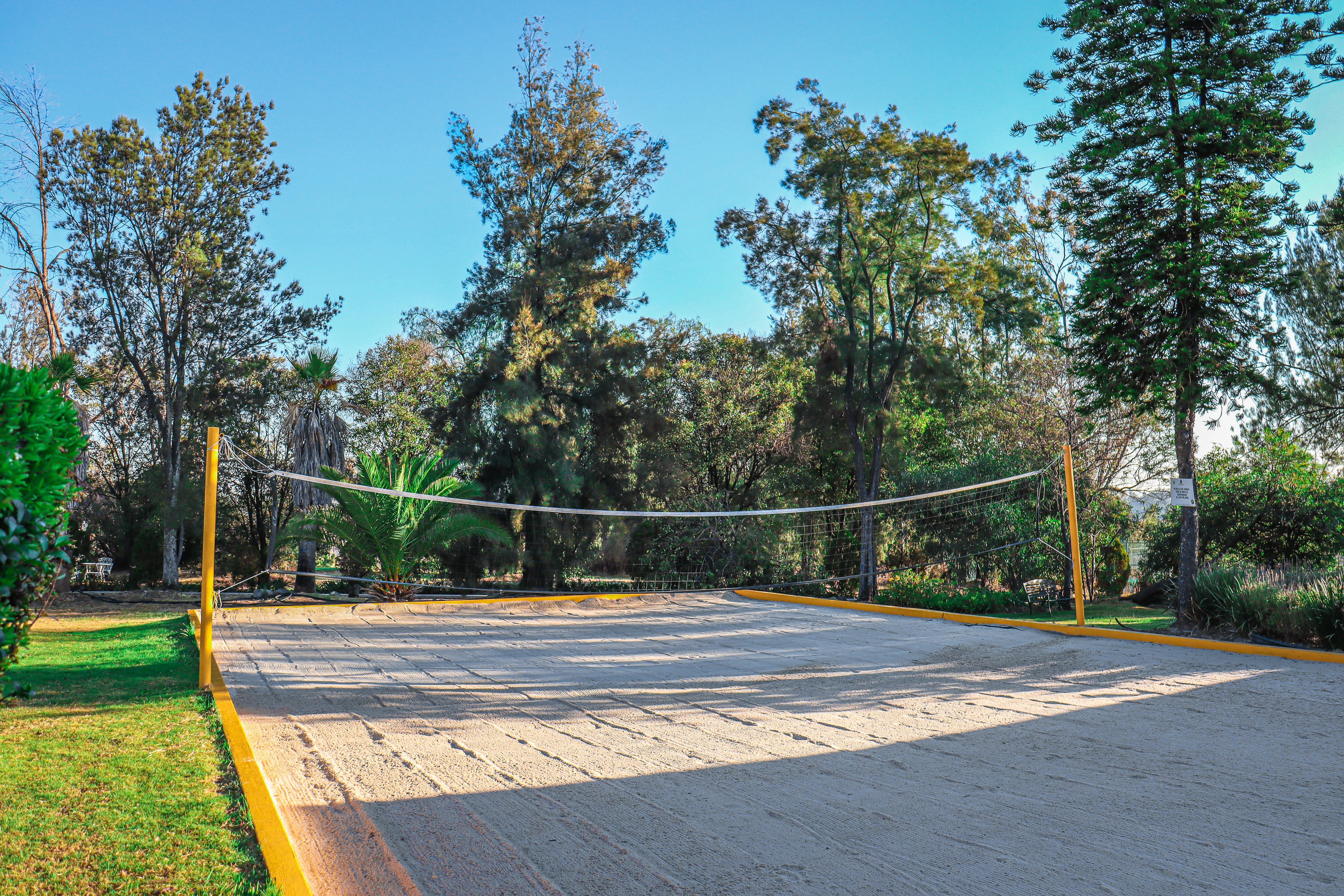 Canchas De Reboteadero