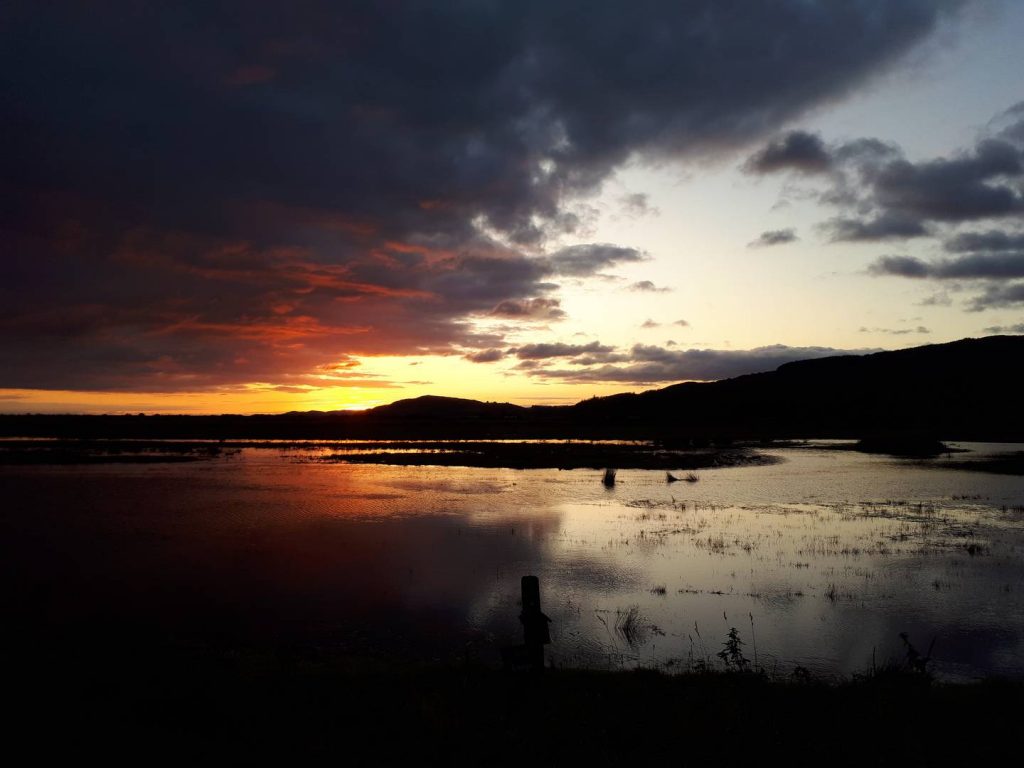  Free things to do in the South of Scotland includes wildlife watching such as at the Mersehead Nature Reserve. © RSPB 2020