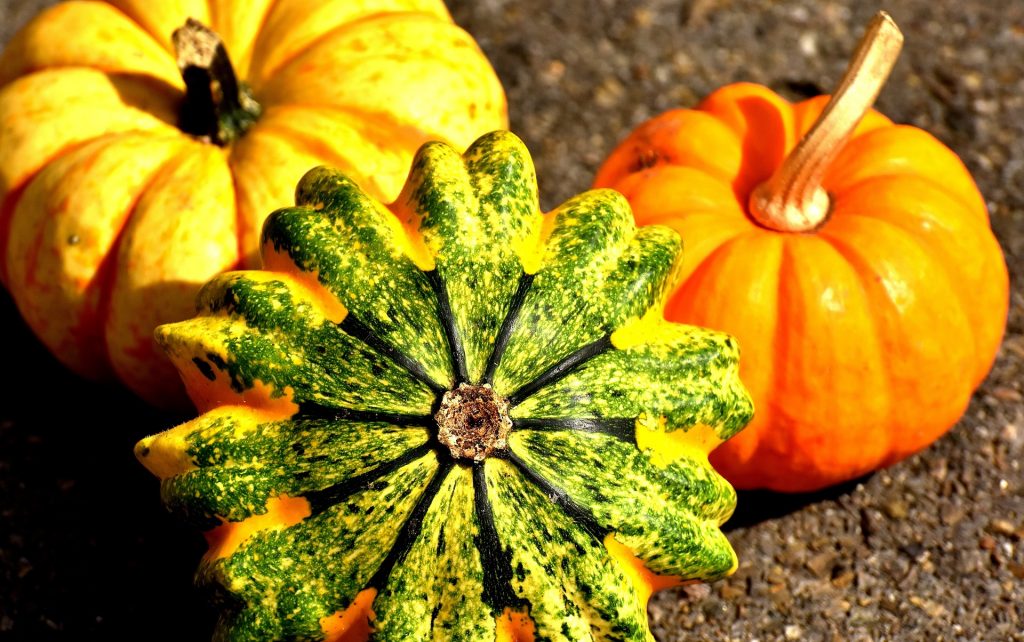Pumpkin carving - the ultimate Hallowe'en event