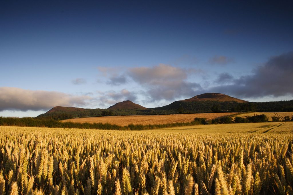 Romantic legend surrounds the Eildon Hills with love stories such as that of Thomas the Rhymer who kissed a fairy queen and was taken to the Otherworld beneath the hills.