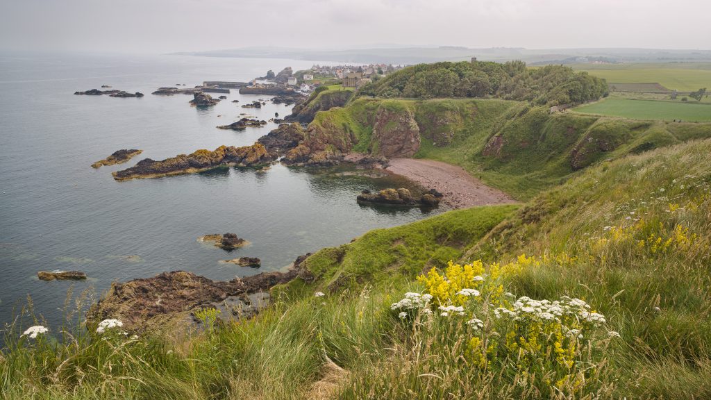 coastal walks St Abbs