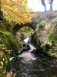 Image of Routin Brig