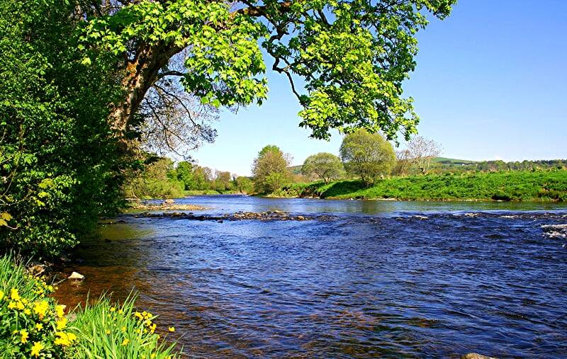 Riverside walk at Ellisland Farm, Robert Burns Ellisland Trust