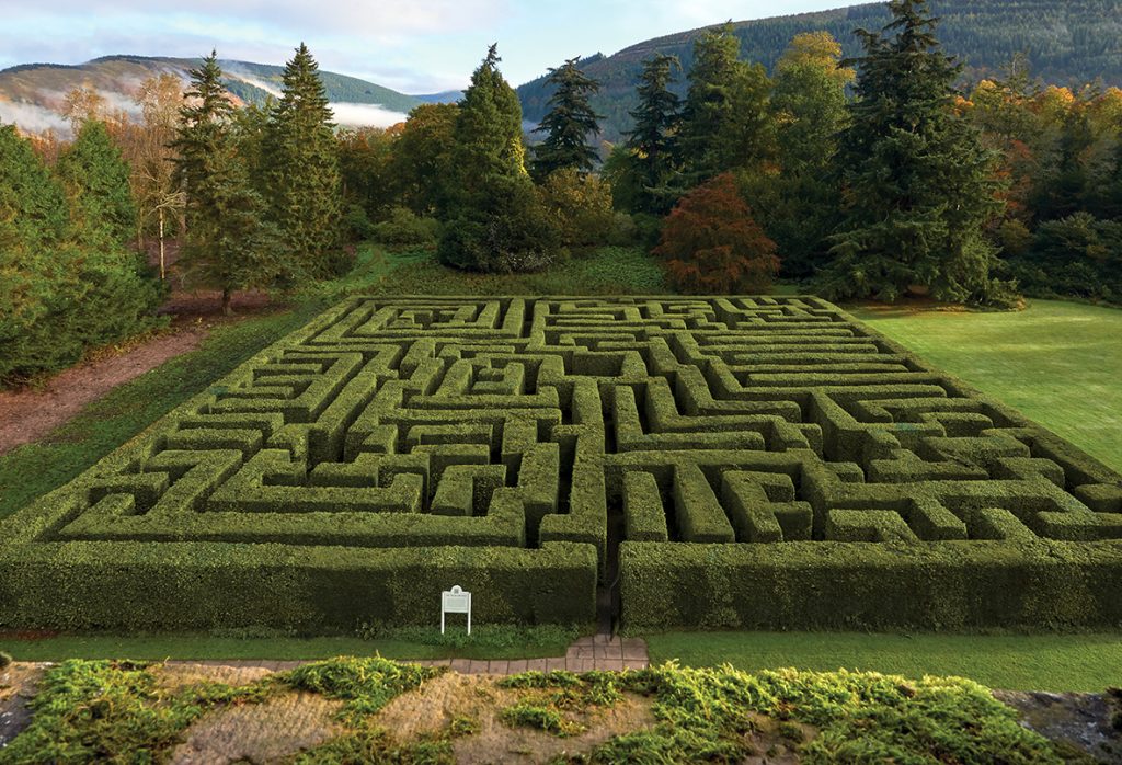 Easter eggstravaganza in the Maze at Traquair House this Easter half term