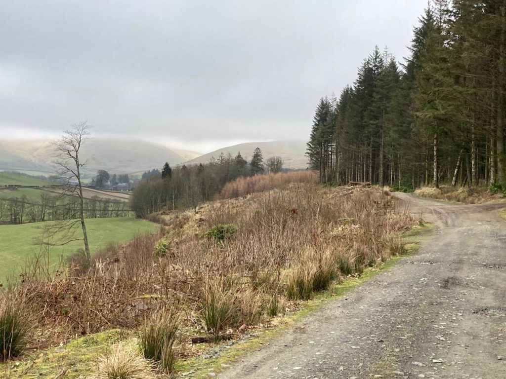 Image of Potholm & Castle Hill