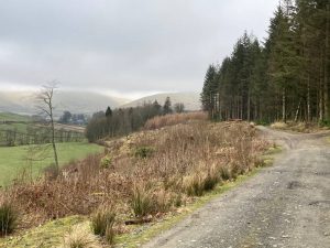 Image of Potholm & Castle Hill