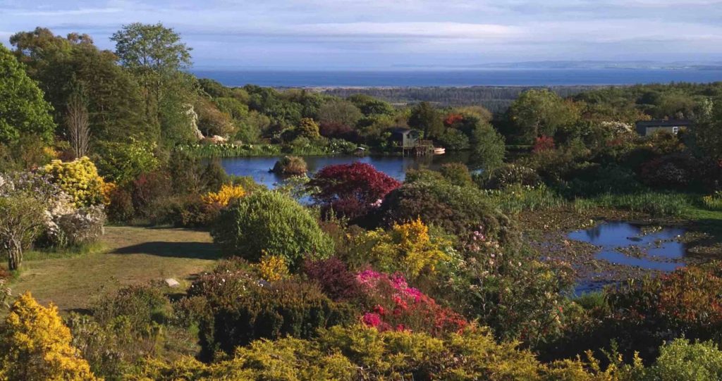 Spring at Glenwhan Gardens, Glenwhan Gardens