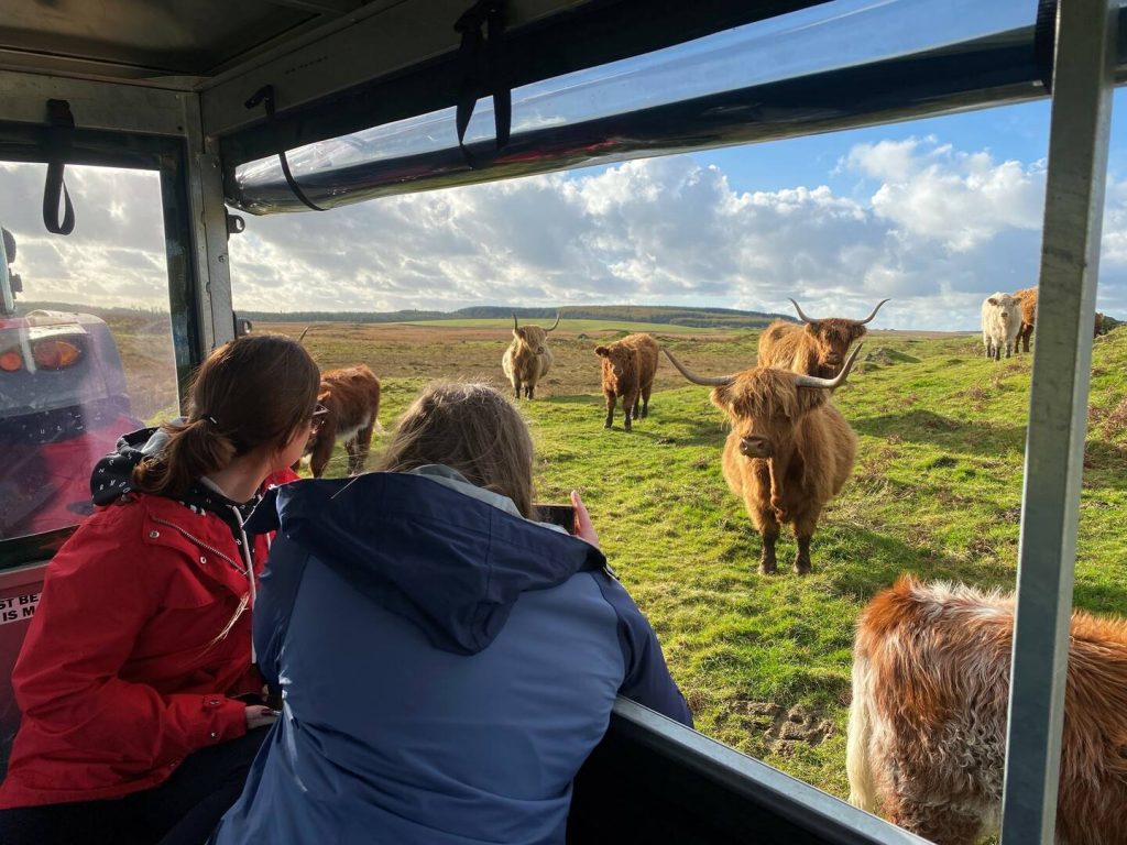 Happy coo view, KC&E