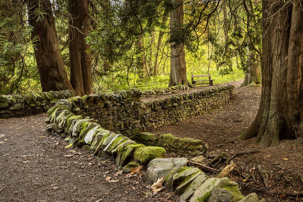 Cycling in the South of Scotland at 7STanes Mabie Forest Park. Photo © James Johnstone (cc-by-sa/2.0)