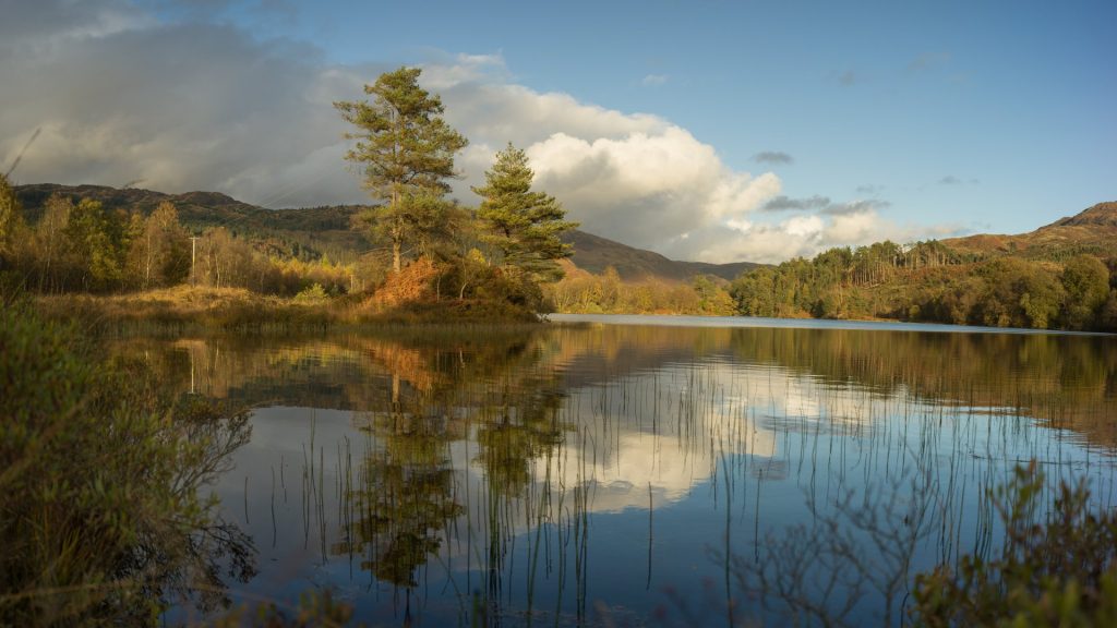 Take a winter walk around Loch Trool and see where Robert the Bruce defeated the English.
