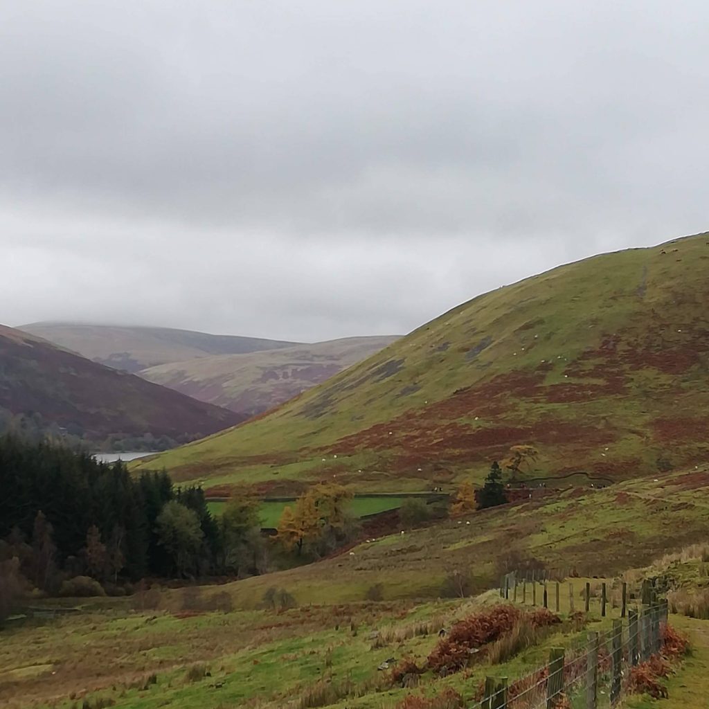 Image of Craig Douglas & Blackhouse Farm
