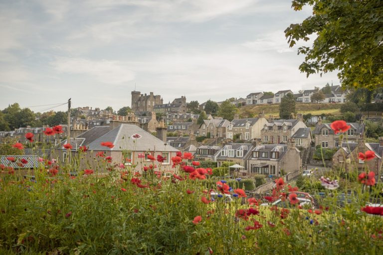 rabbie burns tours