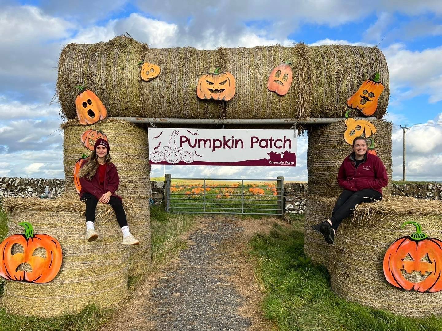 Pumpkin Picking at Ernespie Farm Centre, Ernespie Farm