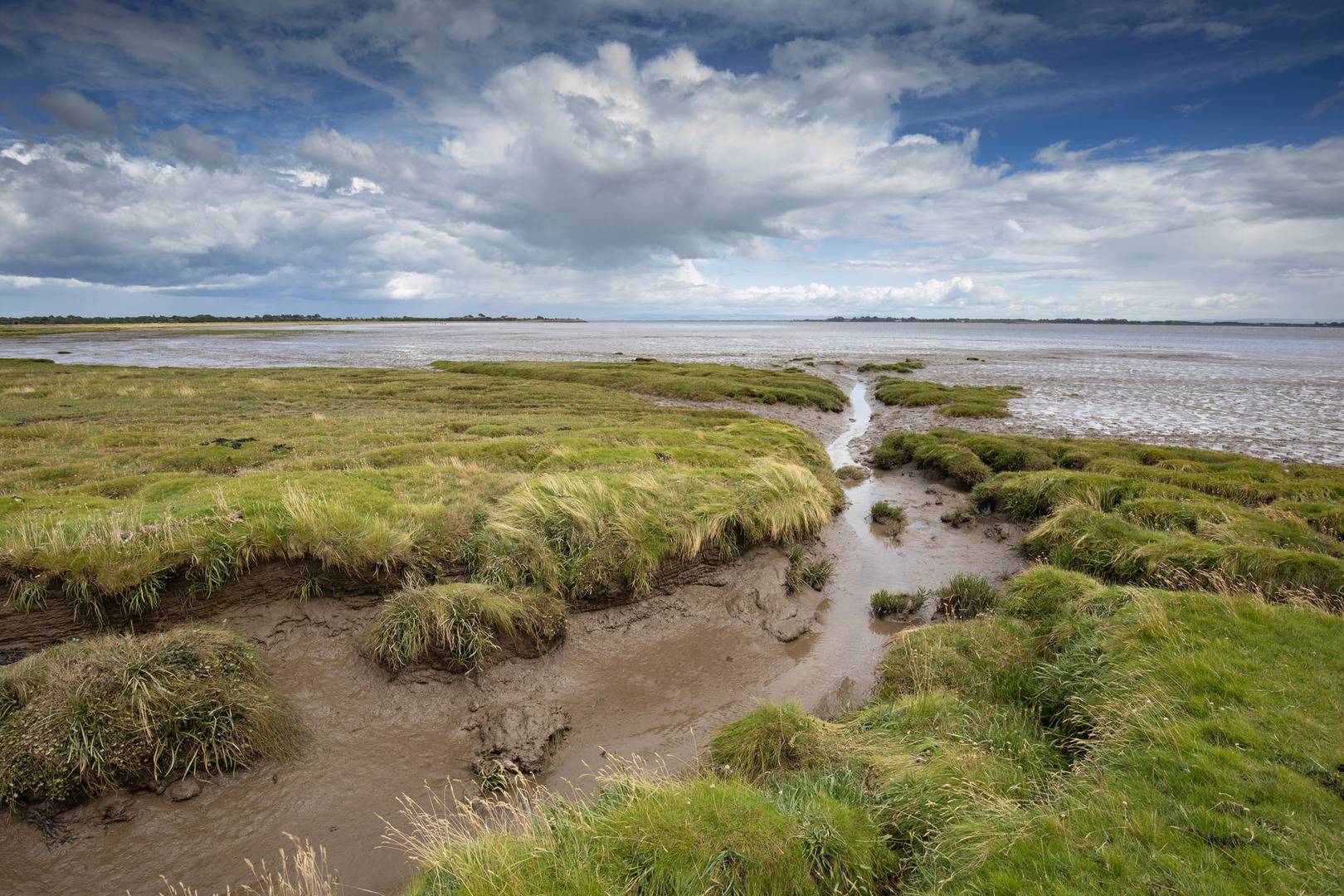 Coastal image of saltmarsh leading into the sea and mud flats with a blue cloudy sky overhead