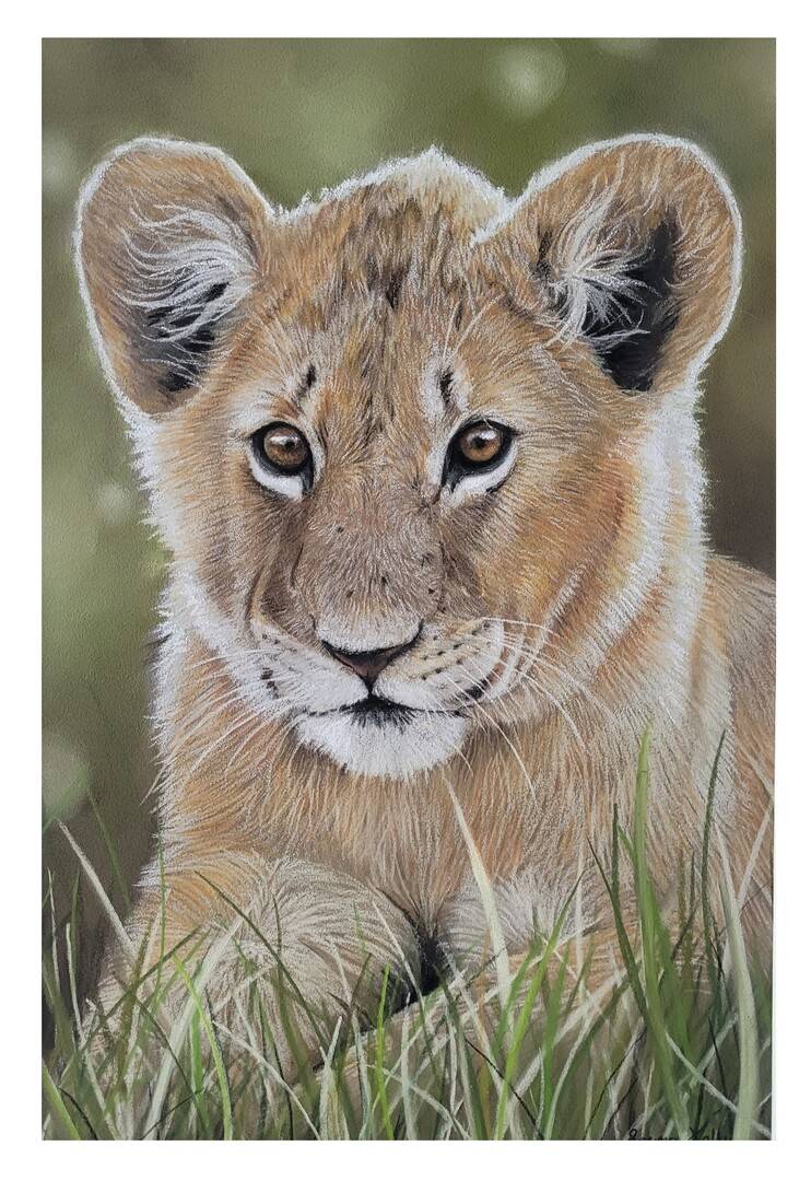 Junior by Emma Jolly