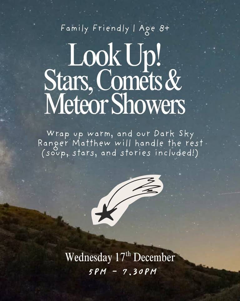 Image of Look up! Stars, Comets and Meteor Showers
