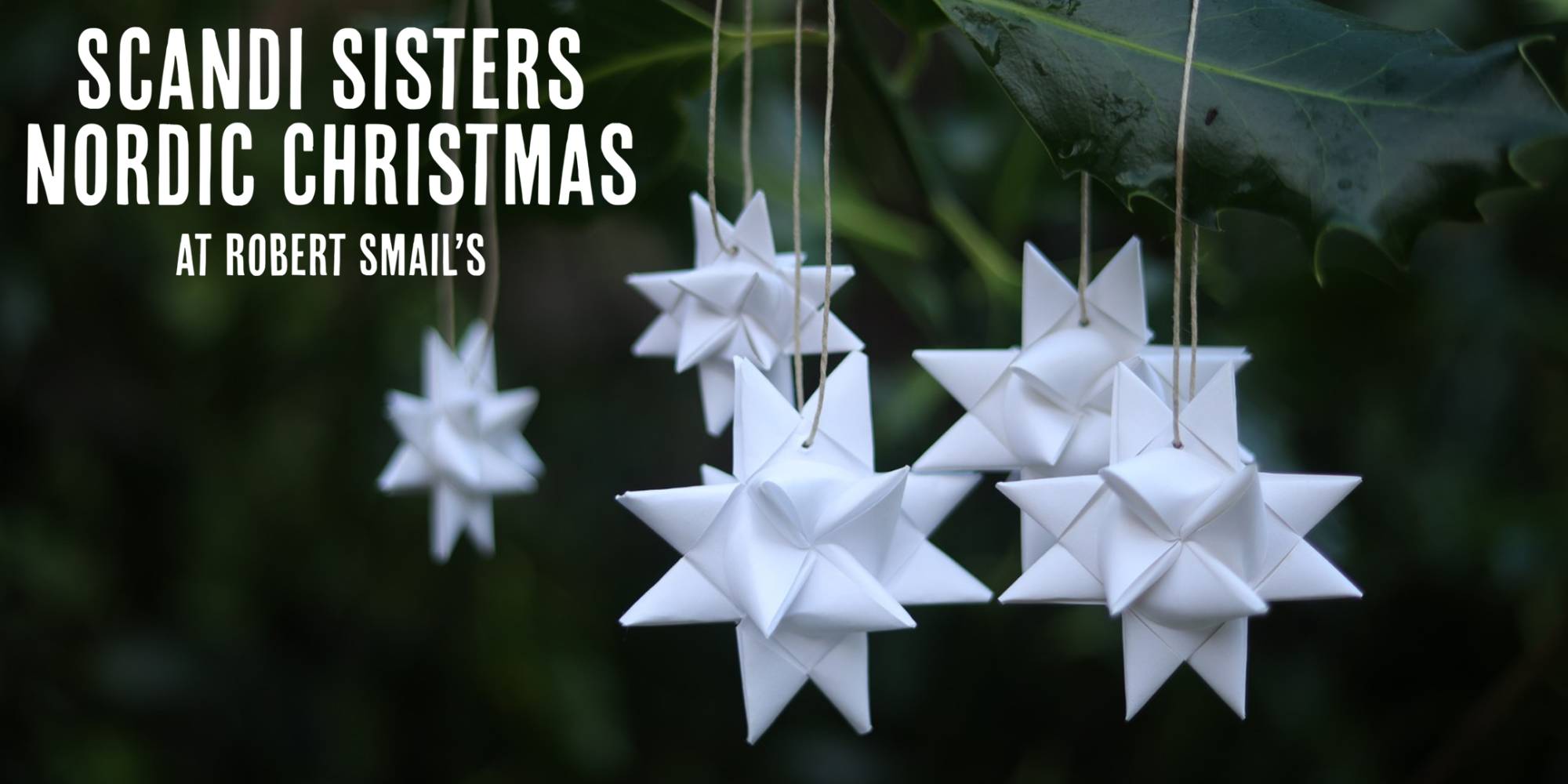 Scandi Sisters Nordic Christmas At Robert Smail's - the picture shows five white folded paper stars hanging in some dark green holly, Tina Sørensen / Robert Smail's