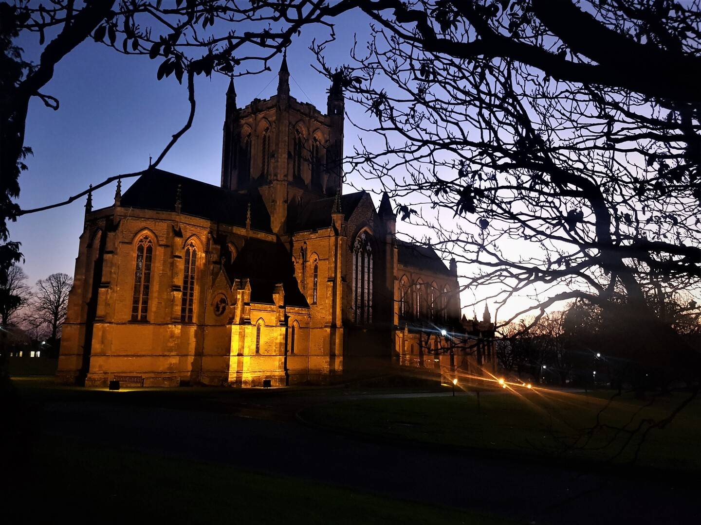 A picture of The Crichton Memorial Church lit up at night and framed by tree branches