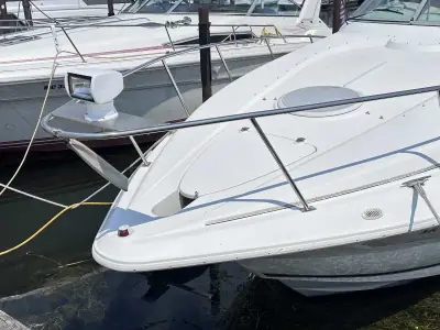 1998 Cruisers 3075 ROGUE