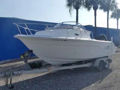 Sea Fox 216 WALK AROUND