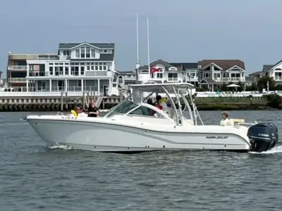 WorldCat 295 DC