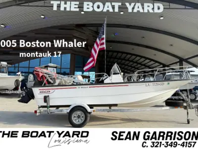 Boston Whaler SUPER CAT 17