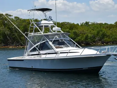 Blackfin COMBI