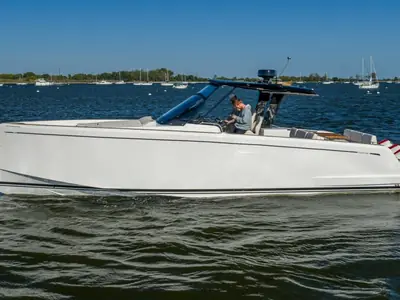 Pardo 38