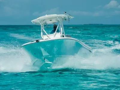 Edgewater Power 245CC