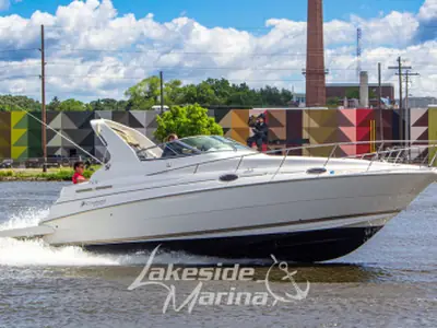 Cruisers 2870 ROGUE