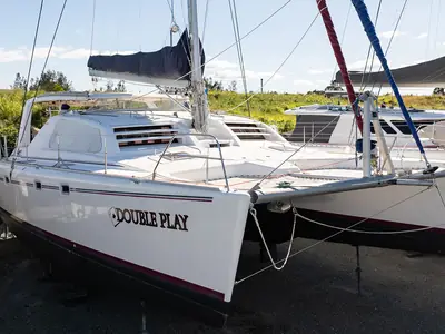 Leopard 47